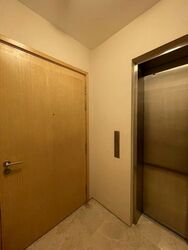 Rhapsody On Mount Elizabeth (D9), Apartment #495715621